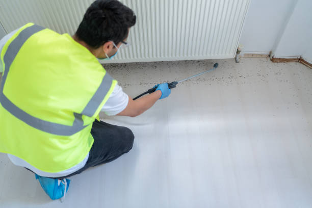 Best Fumigation Services  in Bradenton, FL